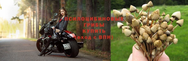 винт Кинешма
