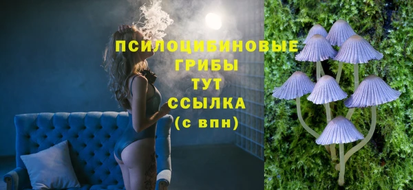 метадон Касимов