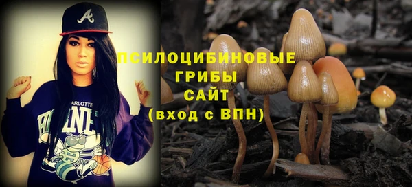 COCAINE Киреевск